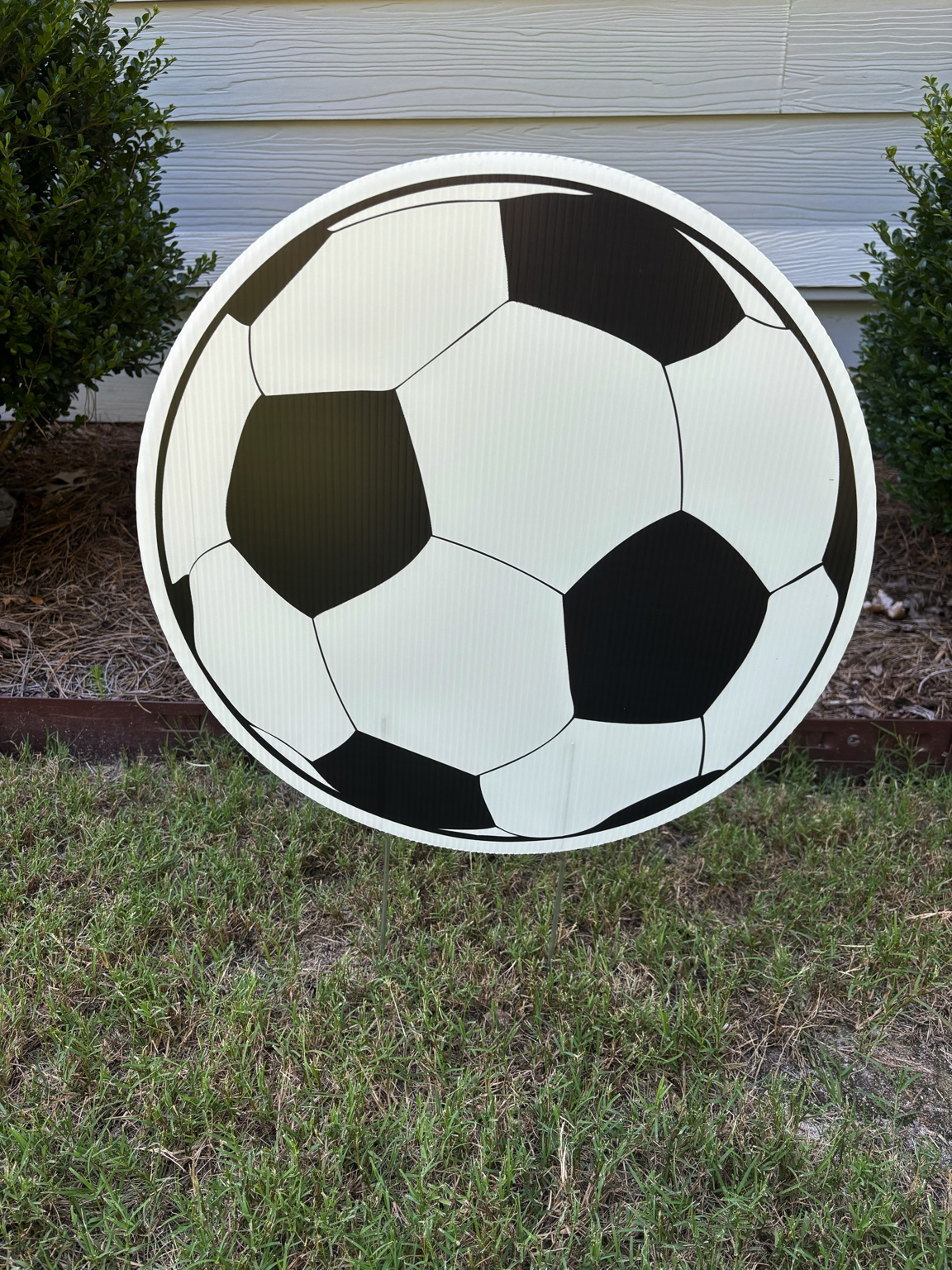 soccerball